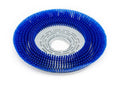 Brush Disc Prolene 370mm 14.5 Blue: Nilfisk