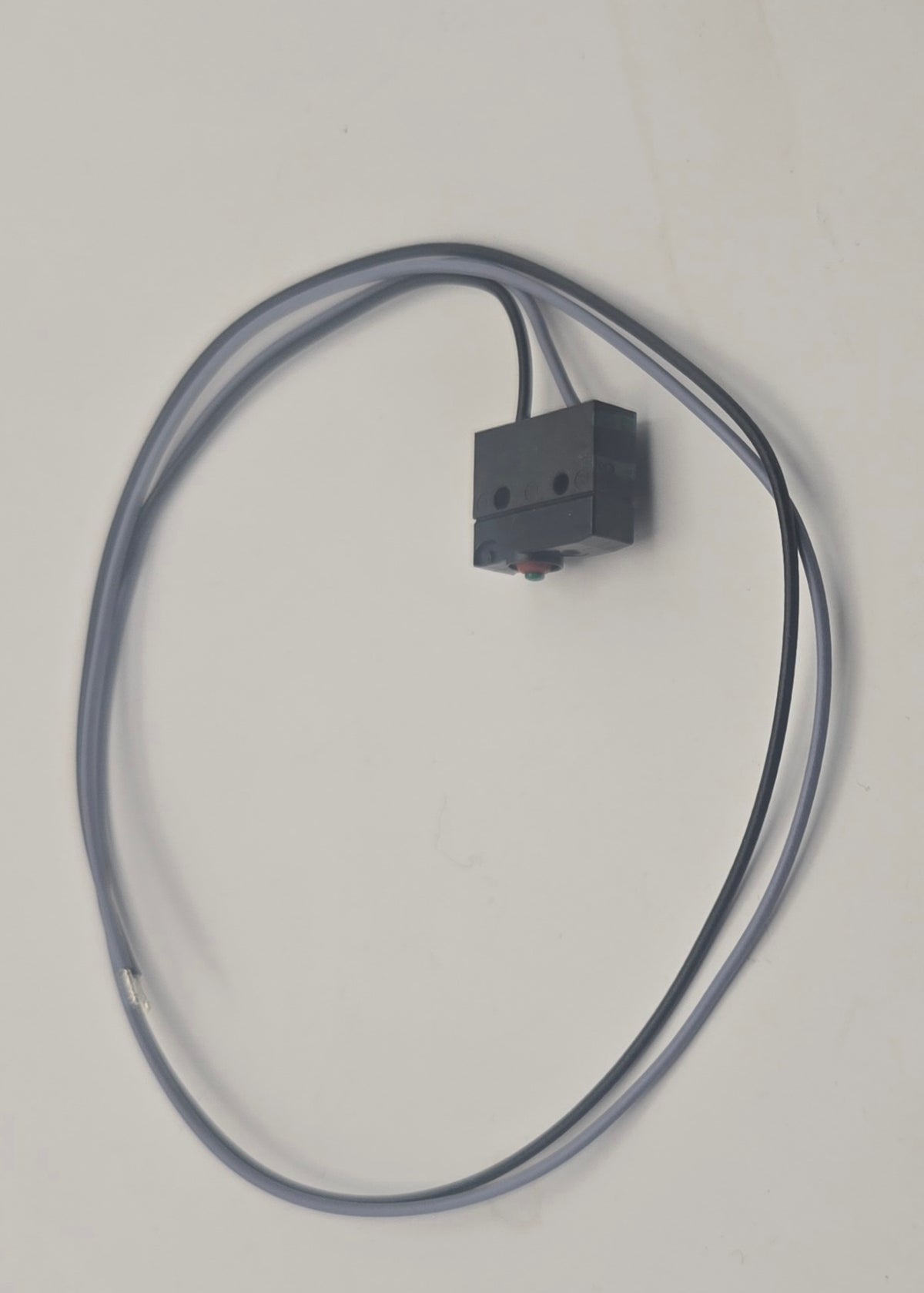 Karcher Micro Switch